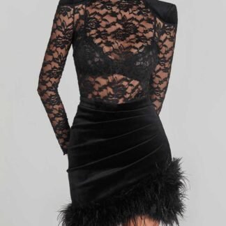 Elegant Lace Sheer Hip Mini Dress
